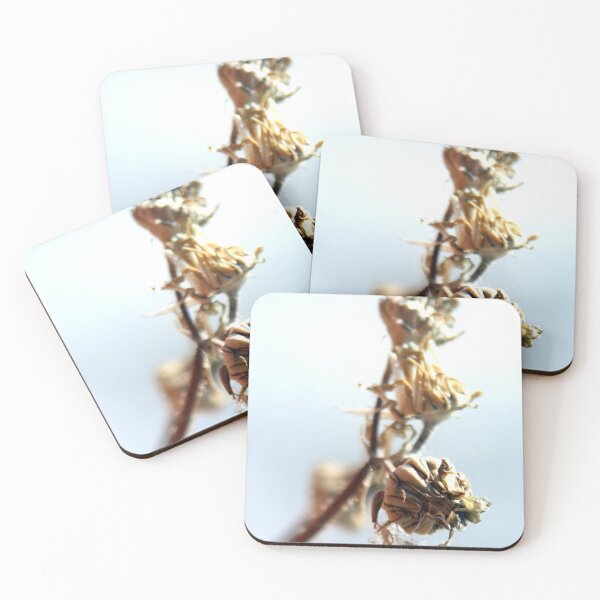 Item preview, © NS Cumplido IA. designed and sold by OmarHernandez.