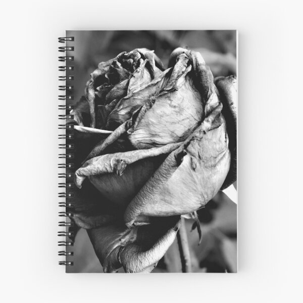Item preview, Rose designed and sold by photofreak56.