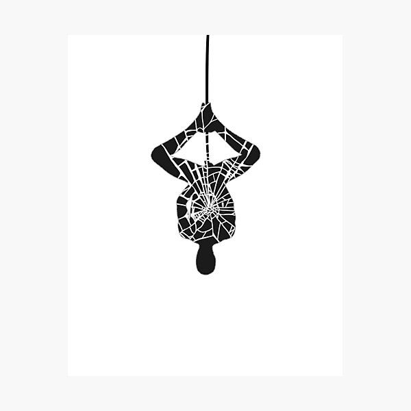 The Spider Photographic Print
