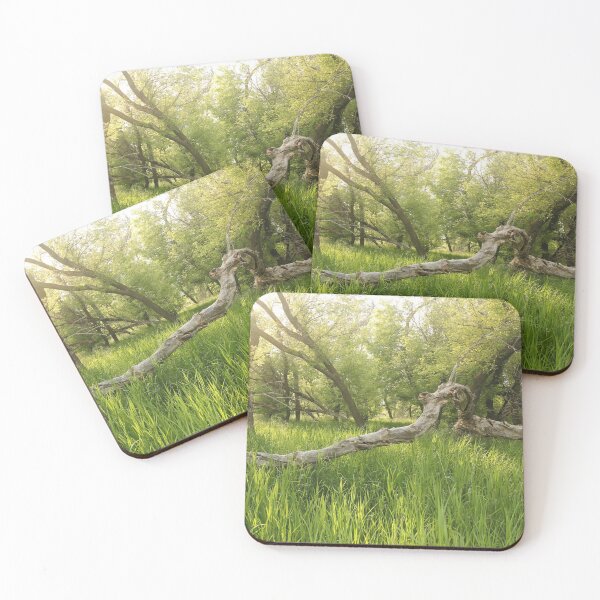 Item preview, Tree Fall Along The Missouri River designed and sold by Gary Horner.
