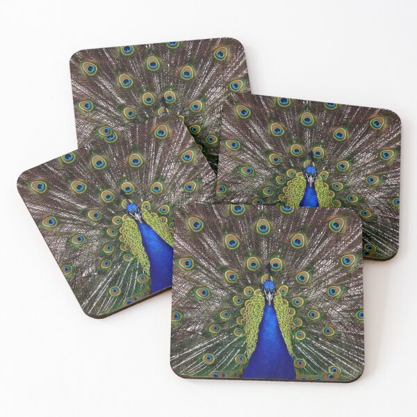 Item preview, Peacock 001 designed and sold by JAMFoto.