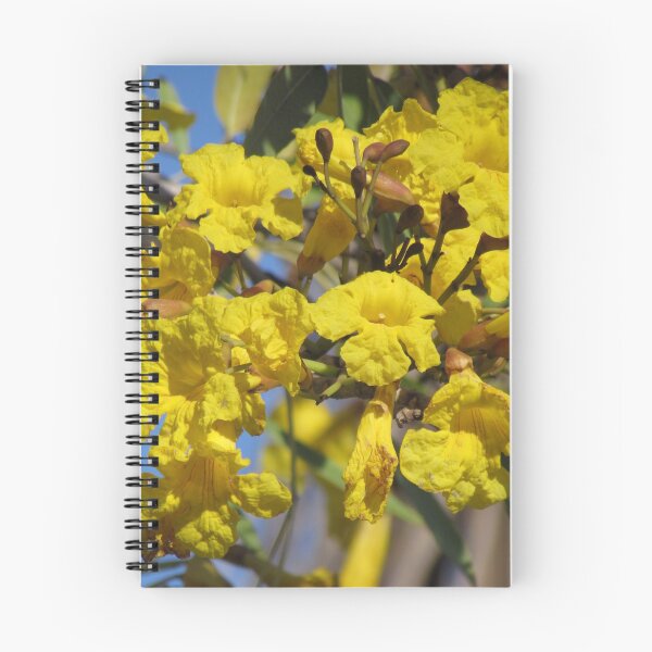 Item preview, Yellow tabebuia tree flowers designed and sold by abacoian.