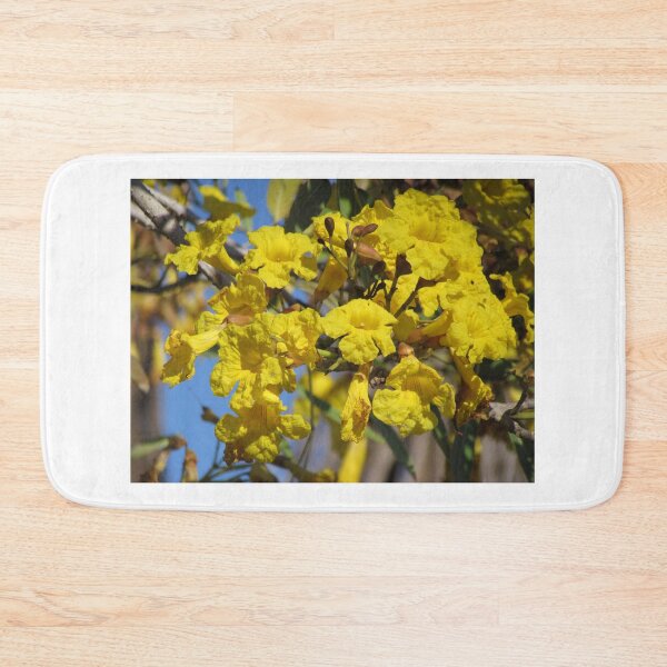 Item preview, Yellow tabebuia tree flowers designed and sold by abacoian.