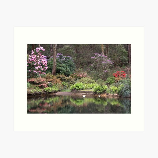 Item preview, Rhododendron Park designed and sold by Geoff Smith.