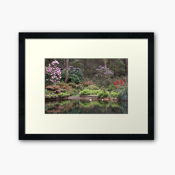 Item preview, Rhododendron Park designed and sold by Geoff Smith.