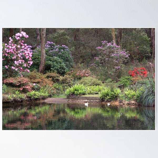 Item preview, Rhododendron Park designed and sold by Geoff Smith.