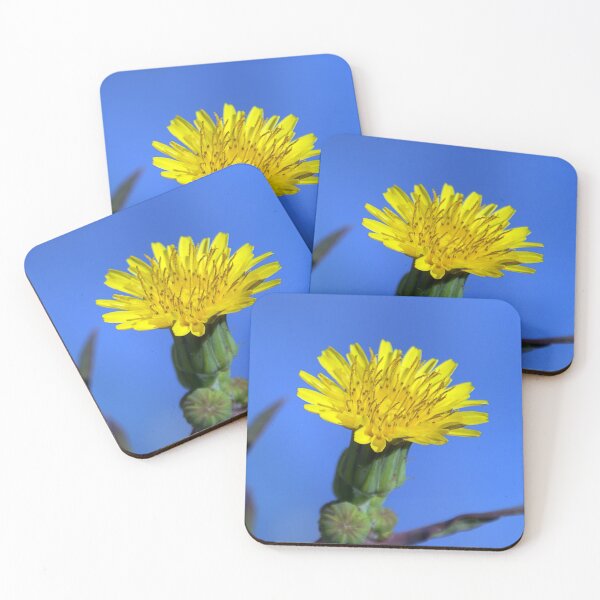 Item preview, © NS Clean Sky IIA. designed and sold by OmarHernandez.