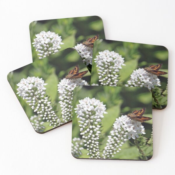 Item preview, Bunchgrass Skipper designed and sold by Strawflower Oasis.