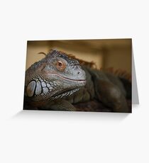 Dragon Greeting Card