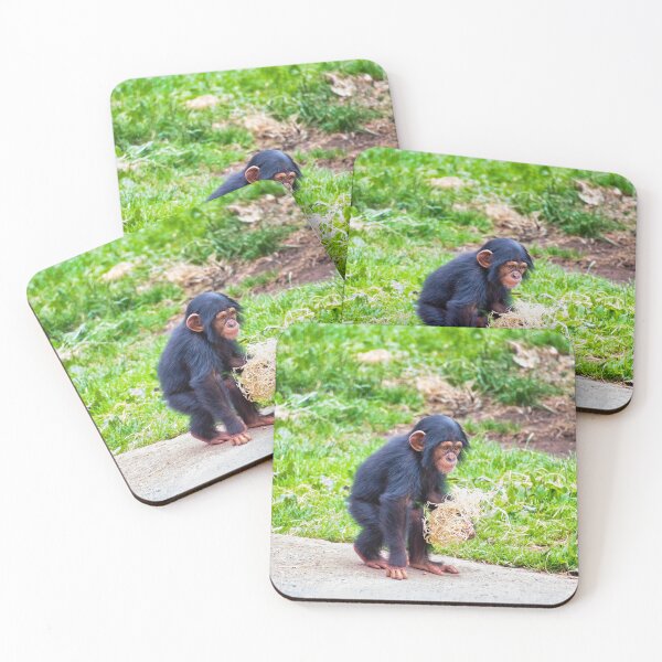 Item preview, Young chimpanzee out walking designed and sold by Graphics By Craig.