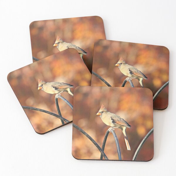 Item preview, Female Cardinal designed and sold by Strawflower Oasis.