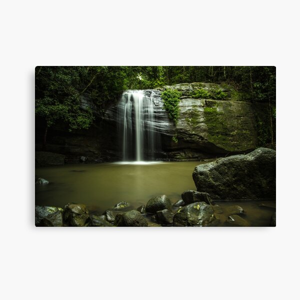 Serenity Falls - Buderim Forest Waterfall Canvas Print