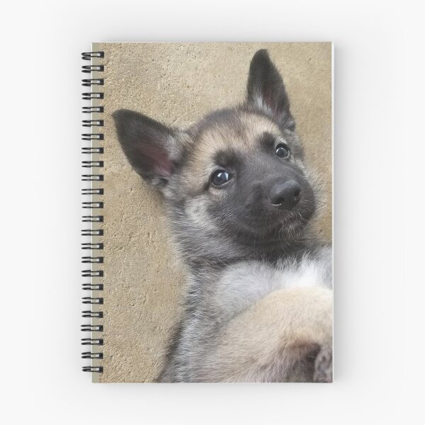 Artikelvorschau, Deutscher Shepard Welpe 2 entworfen und verkauft von Sunny Creations.