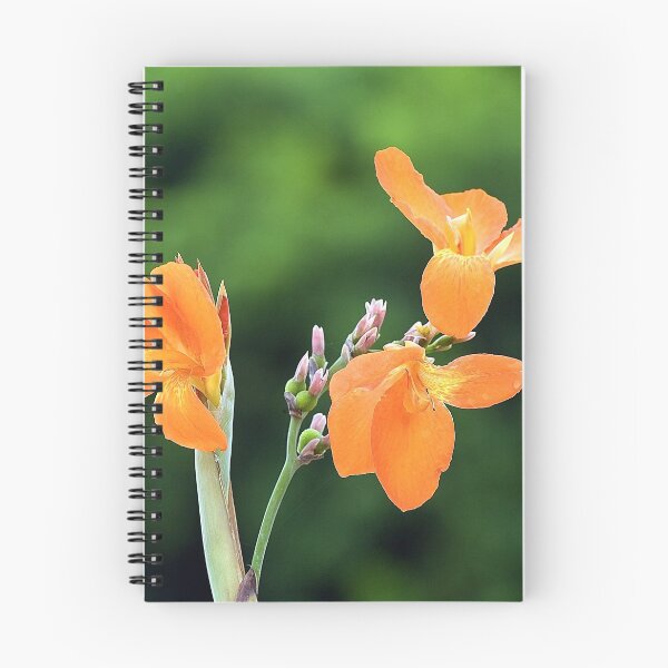 Item preview, Summer Colors designed and sold by Adam Bykowski.