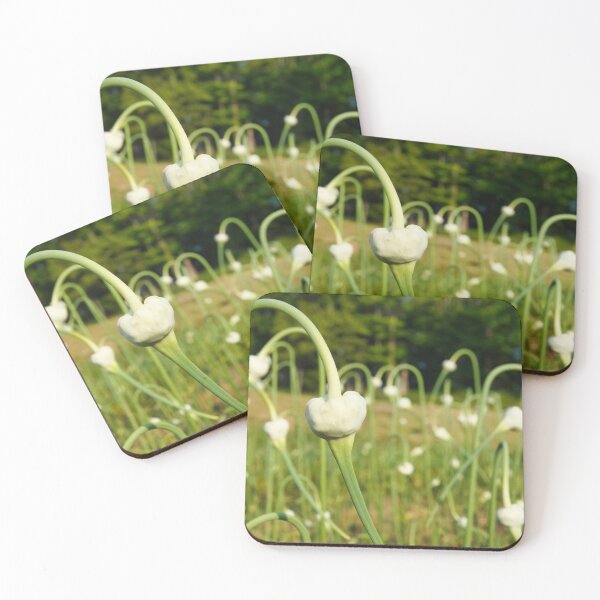 Item preview, Garlic Scapes, Food with a View designed and sold by colorfulbundles.