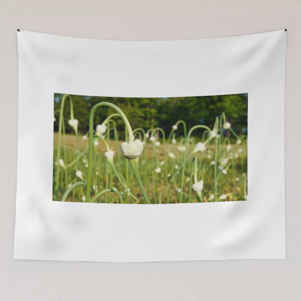 Item preview, Garlic Scapes, Food with a View designed and sold by colorfulbundles.