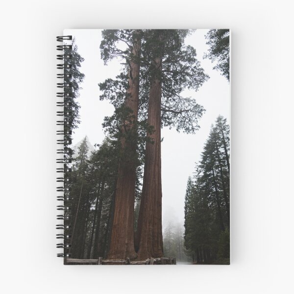 Item preview, Giant Sequoia Trees designed and sold by dmlb photography.
