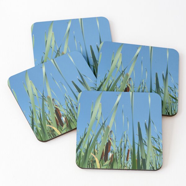Item preview, Bulrushes at Buffalo Lake designed and sold by farmbrough.