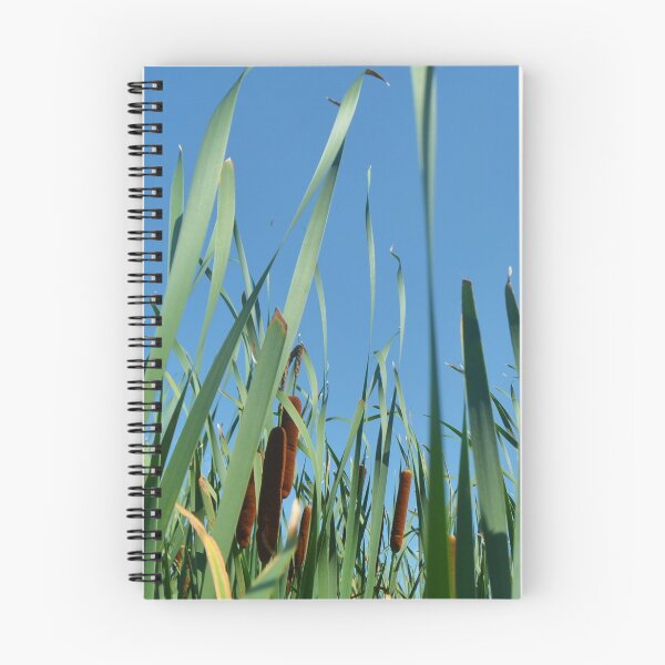 Item preview, Bulrushes at Buffalo Lake designed and sold by farmbrough.