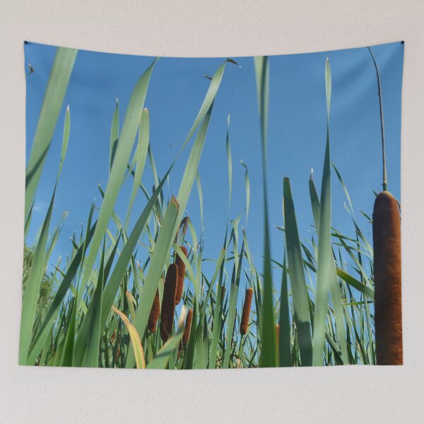 Item preview, Bulrushes at Buffalo Lake designed and sold by farmbrough.