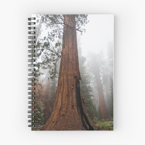 Item preview, Giant Sequoia Trees designed and sold by dmlb photography.