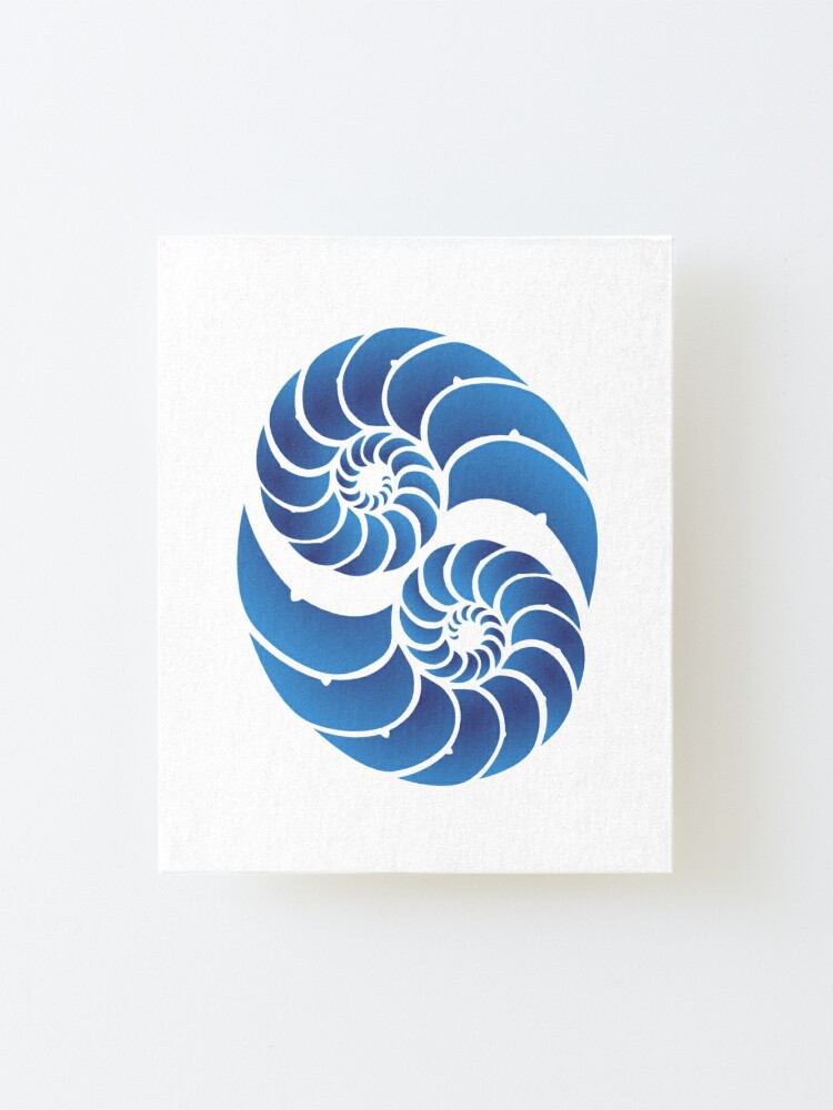 Twin Nautilus Shells Mounted Print By Laroach Redbubble