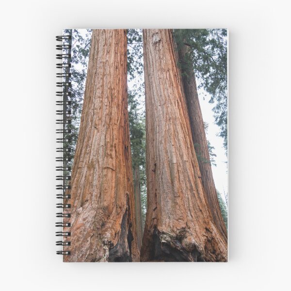 Item preview, Giant Sequoia Trees designed and sold by dmlb photography.
