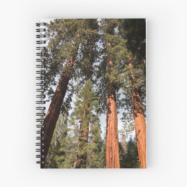 Item preview, Giant Sequoia Trees designed and sold by dmlb photography.