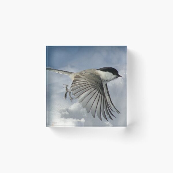 Item preview, Chickadee designed and sold by Strawflower Oasis.