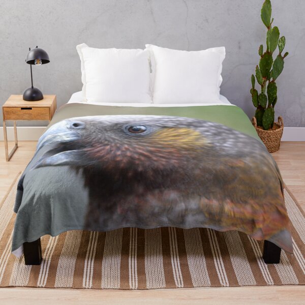 Item preview, Close up with a Kaka- New Zealand Birds designed and sold by lizdomett.