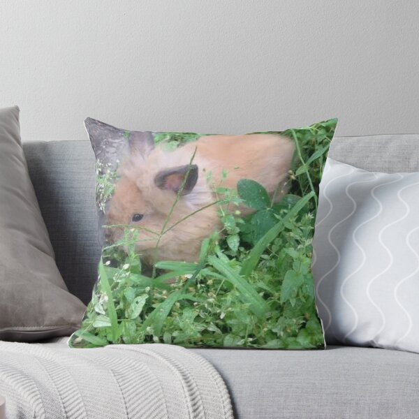 Item preview, Lionhead rabbit baby  designed and sold by meltingangelart.