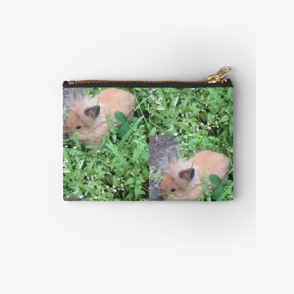Item preview, Lionhead rabbit baby  designed and sold by meltingangelart.