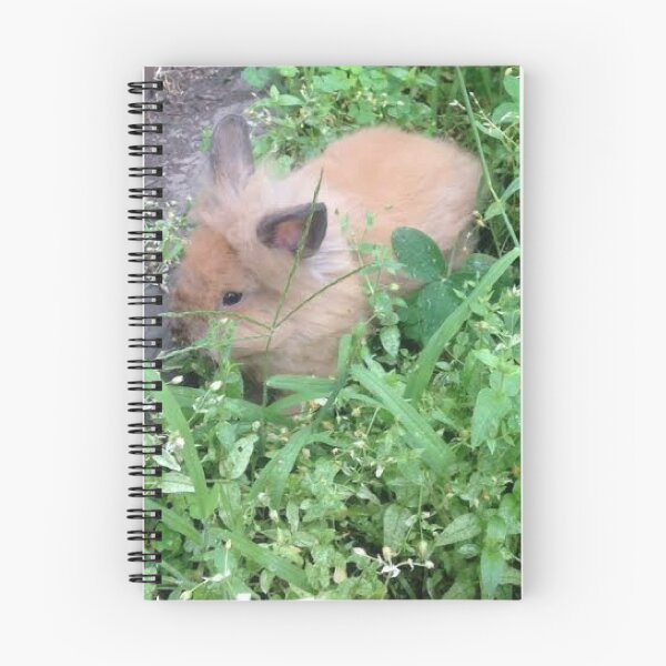 Item preview, Lionhead rabbit baby  designed and sold by meltingangelart.