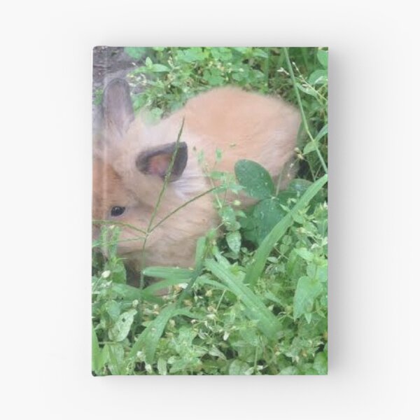 Item preview, Lionhead rabbit baby  designed and sold by meltingangelart.
