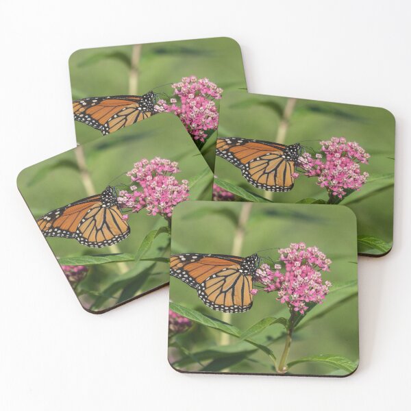 Item preview, Monarch 2019-1 designed and sold by Thomasyoung.