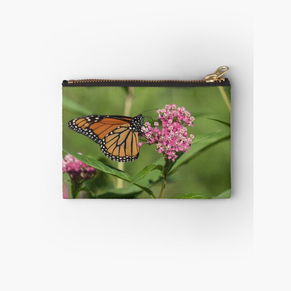 Item preview, Monarch 2019-1 designed and sold by Thomasyoung.
