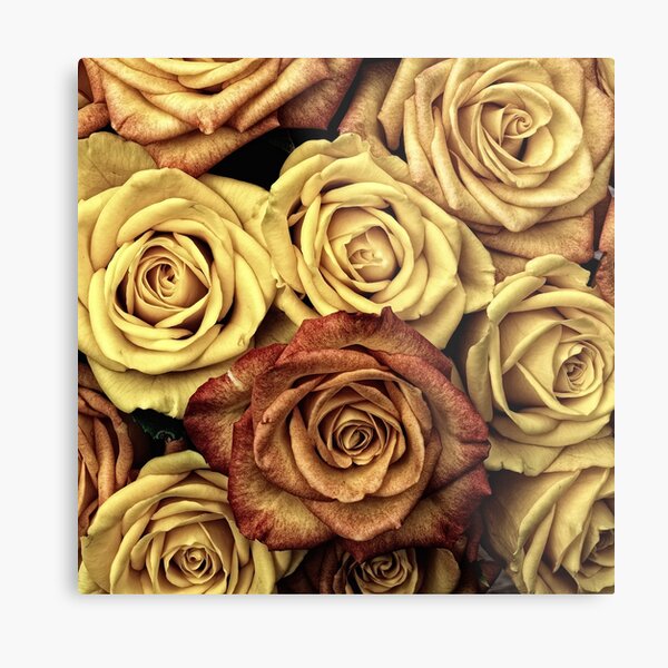 Golden Brown Roses Metal Print