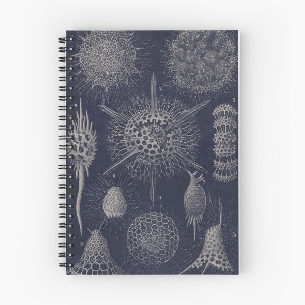 Item preview, Vintage Radiolaria Fossils designed and sold by BlueSpecsStudio.