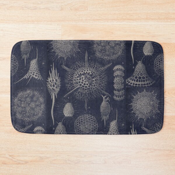 Item preview, Vintage Radiolaria Fossils designed and sold by BlueSpecsStudio.