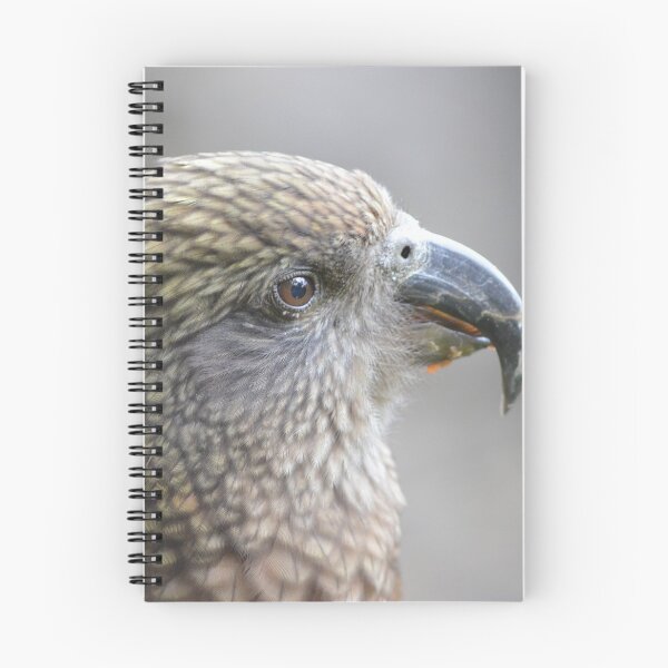 Item preview, Up close with a Kea- New Zealand Birds designed and sold by lizdomett.