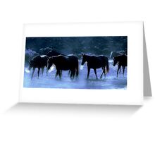 Crossing Nevada by Jeannie Watt Crossing Nevada by Jeannie Watt