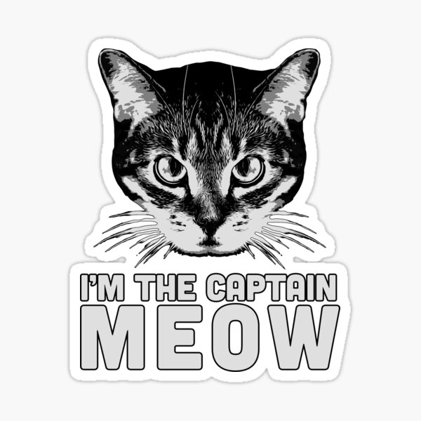Captain Blankenship Sea Salt Spray – Meow Meow Tweet