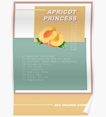 Rex Orange County - Aprikosenprinzessin Poster
