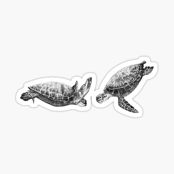 Twin Sea Turtle Sticker