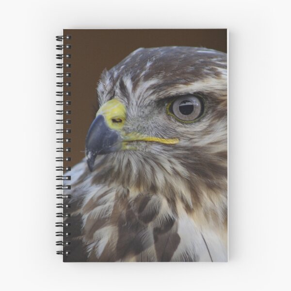 Artikelvorschau, Buteo Buteo entworfen und verkauft von Mythos57.