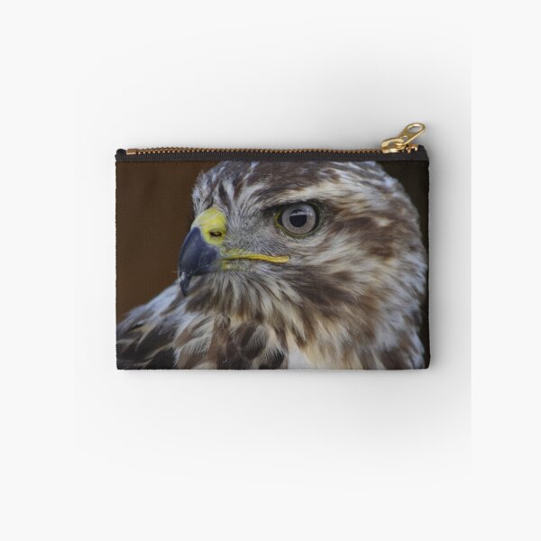 Item preview, Buteo buteo designed and sold by Mythos57.