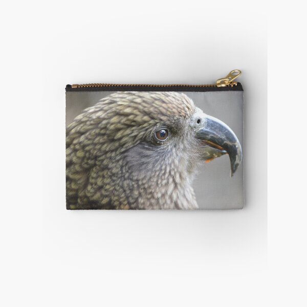 Item preview, Up close with a Kea- New Zealand Birds designed and sold by lizdomett.
