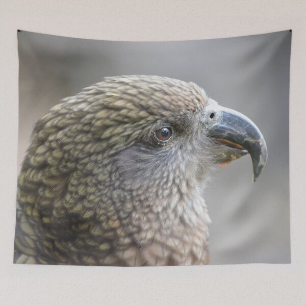 Item preview, Up close with a Kea- New Zealand Birds designed and sold by lizdomett.