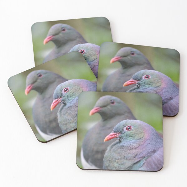 Item preview, New Zealand Wood Pigeon Pair designed and sold by lizdomett.
