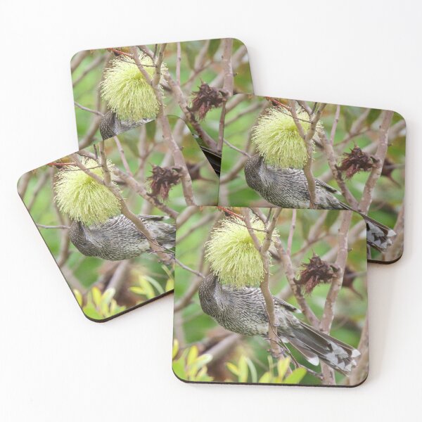 Item preview, HONEYEATER ~ Little Wattlebird P55BWWbF by David Irwin designed and sold by tasmanianartist.